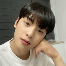 Cha Eun-woo
