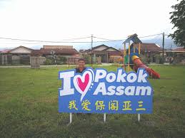 Pokok assam , taiping , perak , malezya'da küçük bir kasabadır. Jkkk Kg Baru Pokok Assam Taiping Halaman Utama Facebook