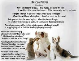 Rescuer S Poem Rescue Dog Quotes Rescue Quotes Dog Quotes
