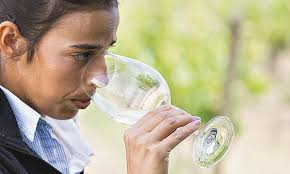 Região do Dão, em Portugal, tem grandes vinhos a preços acessíveis