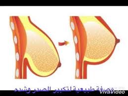 Pin On فيديوهات