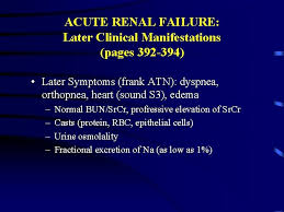 People with acute renal failure need to be aware of signs and symptoms that their kidney function might be deteriorating. Renal Disease Overview And Acute Renal Failure Pathophysiology
