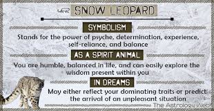 Snow Leopard Meaning And Symbolism The Astrology Web In 2020 Snow Leopard Snow Leopard Wallpaper Snow Leopard Drawing