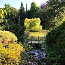 Gartenteich Im Sommer Botanischergartenmunster Schlossmunster Munster Garten Pflanzen Gartentechnik Outdoor Instagram Muenster