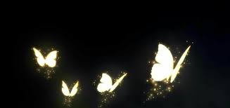 Kies uit een gevarieerd aanbod van vergelijkbare scènes. Night Light Butterfly Png Free Png And Transparent Images