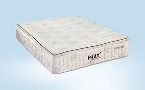 Mlily Serenity Mattress Review Is It Worth It