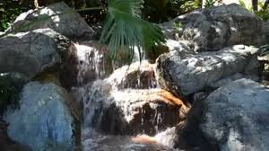 Check spelling or type a new query. River Park Orlando Nature Florida Orlando Usa Seaworld Sea Park Video By C Dmitro2009 Stock Footage 369909806