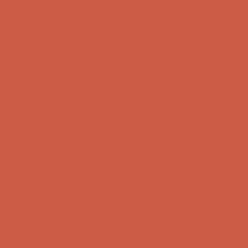 Pantone announced the trendiest color of 2019 and it's an explosion of emotions! Coral Colour Digital Art By Tintodesigns