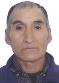 Ingresos de Otorongos Elecciones 2022