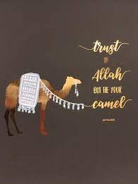Listen!, the dervish said, trust god, but tie up your camel! One Of My Favorite Hadiths Islamicquotes