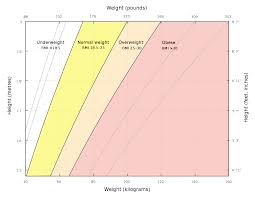 To manually calculate bmi we need our height and weight. Body Mass Index Wikipedia