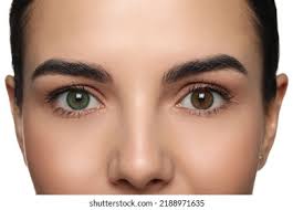 4,2 tusen Genetics eye color