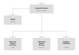 Shareholding Structure And Organization Chart