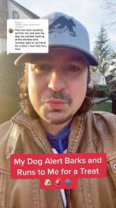 Daniel Schaffer Dog Trainer