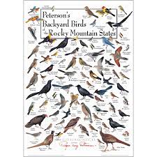 Peterson S Backyard Birds Of The Rocky Mtn States Poster Earth Sky Water Backyard Birds State Posters Rocky Mountains