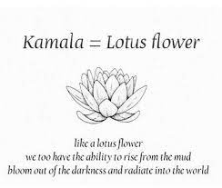 A white lotus represents purity, particularly the purity of one's mind. Fleur De Lotus Lotusflower Lotus Lotus Tattoo Meaning Lotus Flower Tattoo Meaning Flower Tattoo Meanings