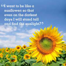 M K Womansday Sunflower Quotes Flower Quotes Quotes Inspirational Positive