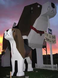 Last updated on february 28, 2021. Dog Bark Park Inn And Bingo Was His Name Oh