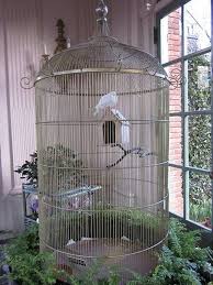 Large Bird Cage Decor Ideas Decorative Corner Bird Cages Bird Cages Vintage Bird Cage Bird Cages Large Bird Cages