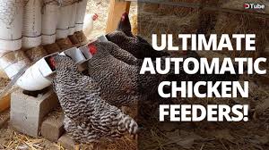 Feed wastage by chickens is somewhat inevitable, but wasting food via rats and other rodents is a. Easy Diy Automatic Chicken Feeders Save Hours Of Work A Year Steemit