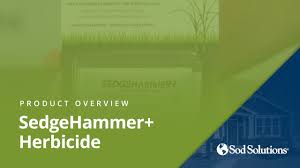 Maybe you would like to learn more about one of these? How To Use Sedgehammer To Control Sedge Sod Solutions