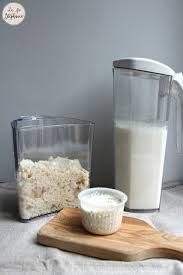 Lait D Amande Fait Maison A L Extracteur De Jus Mais Pas Que Transformez L Okara En Petit Fromage Vegetal Lait D Amande Recette Jus Extracteur Recette Jus