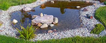 Sonne und passende umgebung | teich auf probe warum eigentlich wollen sie einen gartenteich anlegen? Gartenteich Anlegen Ohne Viel Aufwand Und Pflege Zuhause Bei Sam