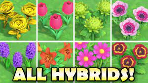 From nookipedia, the animal crossing wiki. All Hybrid Flowers In Animal Crossing New Horizons How To Grow Them Easy Youtube