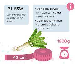 Von colling am 28.01.2014, 09:38 uhr 31 Ssw Schwangerschaftswoche