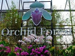 Biaya ini bervariasi, tergantung pada atraksi. Orchid Forest Cikole Tiket 6 Aktivitas Juni 2021 Travelspromo