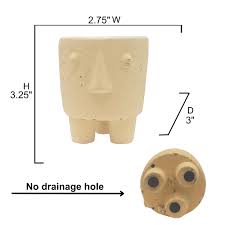 Admired By Nature ABN5E179-MIX Cute Face Planter Pot Fibre Cement Human  Face Planter, 3.25 Inches Height for Succulent, Cactus, Flowers for Indoor  and Garden. Multi Color Planters, Set of 3, White :