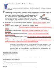 Darwin's natural selection worksheet directions: 1 Natural Selection Practice 2 Doc Natural Selection Worksheet Name Read The Following Situations Below And Identify The 5 Points Of Darwin U2019s Course Hero