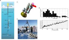 Heartbroken team gb star hughes disqualified as italy's jacobs wins 100m gold. Frontiers Polar Ocean Observations A Critical Gap In The Observing System And Its Effect On Environmental Predictions From Hours To A Season Marine Science