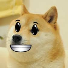 Mix & match this hat with other items to thanks for visiting roblox. Wtf Doge In Roblox Altdogelore