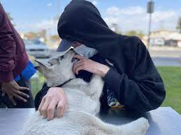 Vet care pet clinic linkedin. Vet Care Pet Clinic 155 Photos 130 Reviews Veterinarians 12453 Valley View St Garden Grove Ca Phone Number