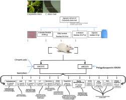 Image result for Carpolobia alba