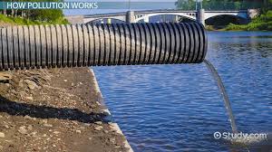 Read the article that has been assigned to your group and then, as a group, answer the following questions. Types Of Water Pollution Lesson For Kids Video Lesson Transcript Study Com