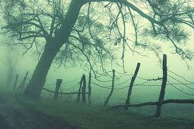 Image result for mood and atmosphere