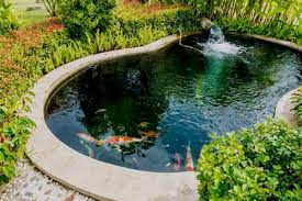 Follow our socials for behind the scenes and special. How To Make Your Pond Water Blue Water Garden Advice