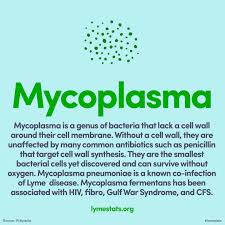 Mycoplasma Is A Known Co Infection Of Lyme Disease It Is The Smallest Bacteria Yet Discovered And Can Lyme Disease Symptoms Lyme Disease Awareness Mycoplasma