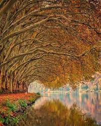 Lake Baldeney In Essen Germany From Janistraum World Photography Reflection Photos Landscape