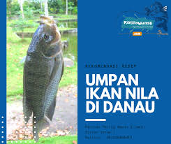 Banyak Sekali Jenis Umpan Yang Paling Galak Dan Jitu Untuk Mancing Ikan Nila Di Segala Jenis Air Berikut Ini Rekomendasi Umpan Ikan Nila Di Ikan Danau Jenis