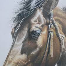 The color is pure, clean and bright. How To Finish A Colored Pencil Drawing Carrie L Lewis Artist