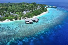We recommend a luxurious resort to make your stay. The 10 Best Maldives Wedding Resorts Feb 2021 With Prices Tripadvisor