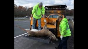 5 of the world's most disgusting jobs - YouTube