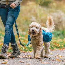We offer all puppies for sale only after we have done our very best to help them be healthy & happy from the moment they are being conceived to the day you pick them up to take them to their new home. 5 Types Of Doodle Dogs The Pros And Cons Of Each Breed Pethelpful