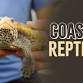 Coastal Reptiles event image