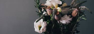 Elisa Felice and Adam D'Amelio's Wedding Registry