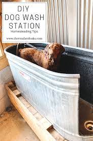 Diy Dog Wash Dog Washing Station Dog Wash