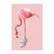 Noir Gallery Pink Flamingo Shoes Animal Fun Unframed Art Print Poster 40 X 60 Flamingo Oboi Fotoiskusstvo Detskie Kartiny